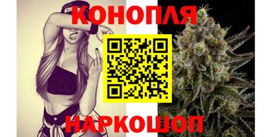 PSILOCYBIN Северобайкальск