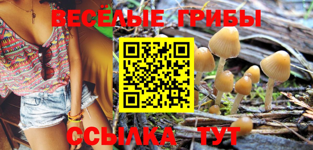 Галлюциногенные грибы мицелий Аргун