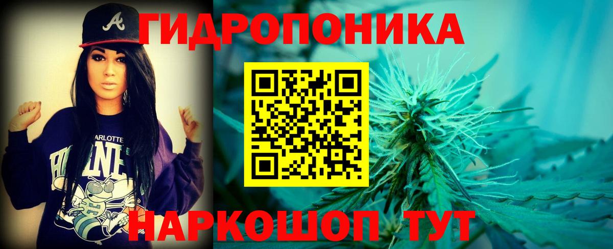 Конопля планчик  Марихуана конопля  Аргун  Вход с VPN  Шишки марихуана конопля 